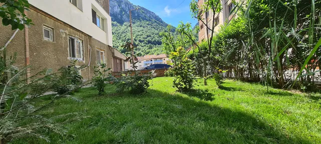 Apartament AlyMit Baile Herculane