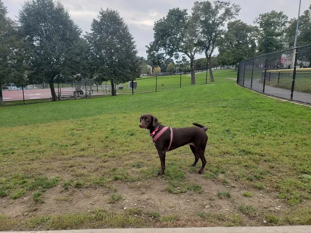Vernon Hill Dog Park