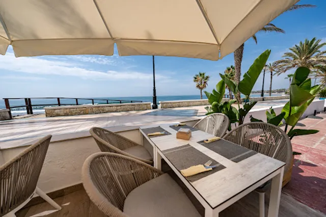 Exoticca - San Pedro de Alcantara