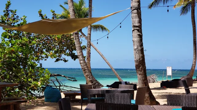 El Mosquito Beach Bar