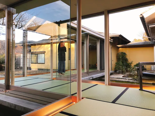 仙郷楼 奥の樹々