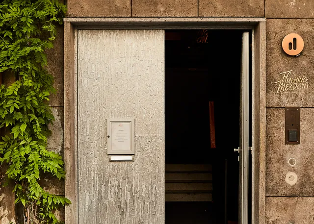 The Flushing Meadows