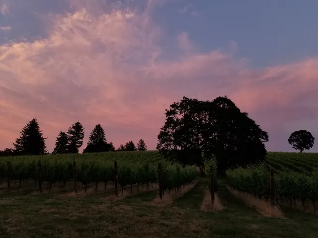 La Chouette Vineyard