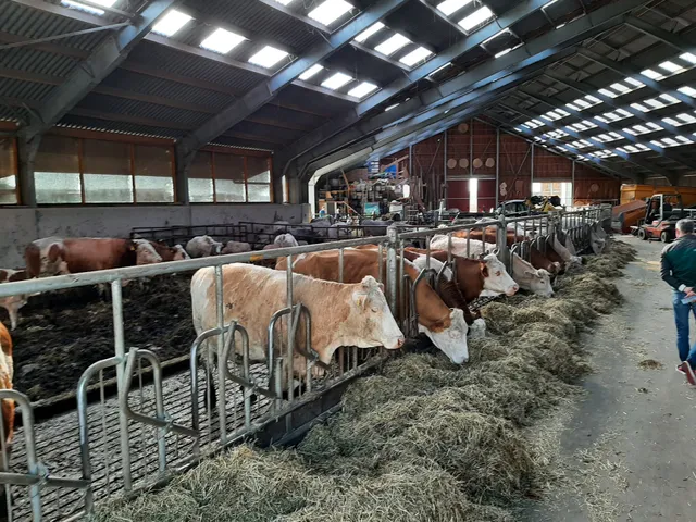 Odin (Organic Supermarket) Almere