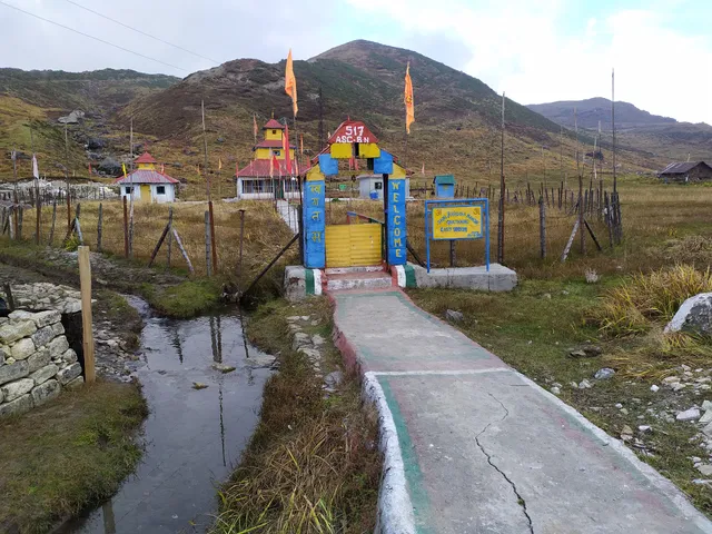 Golden Trout Residency