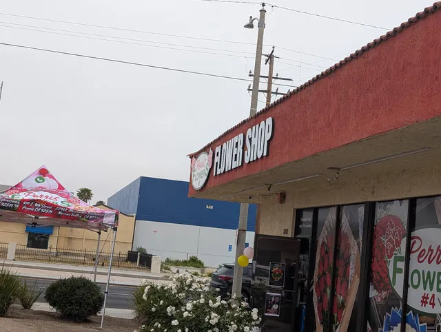 Valley Professional Center