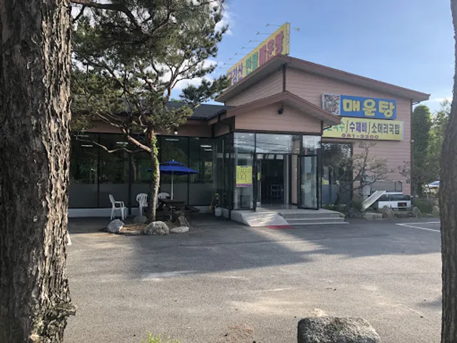 금강산민물매운탕