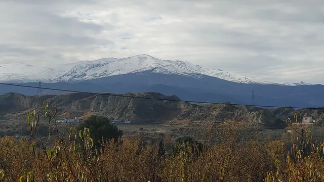 Cuevas Abuelo Ventura