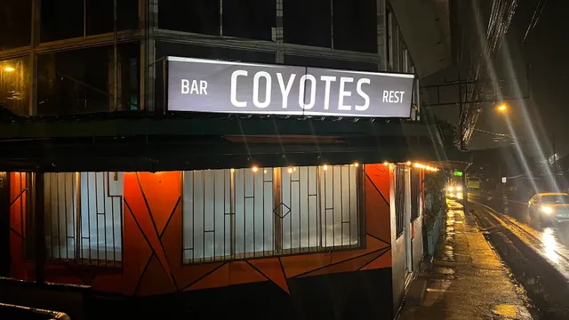 Bar Coyotes