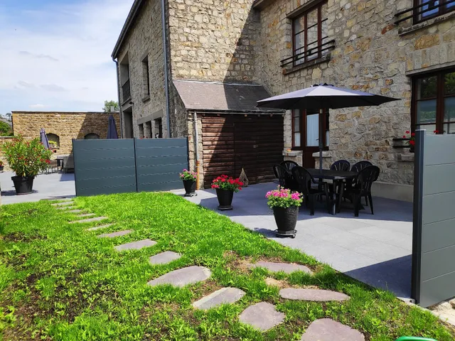 La chouette au bouleau