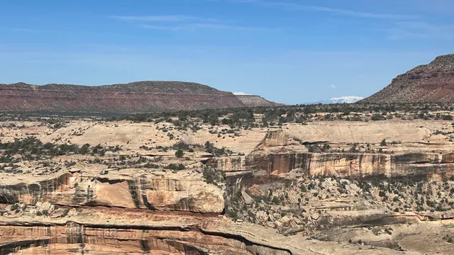 Natural Bridges National Monument Campground