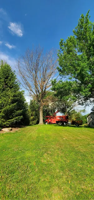 Weldon Spring Heights