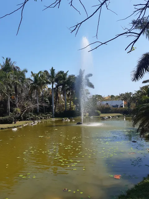 School of Accounting at the Universidad Veracruzana