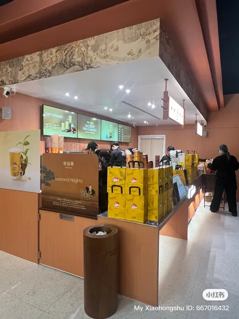 ChaHalo - Coming Soon