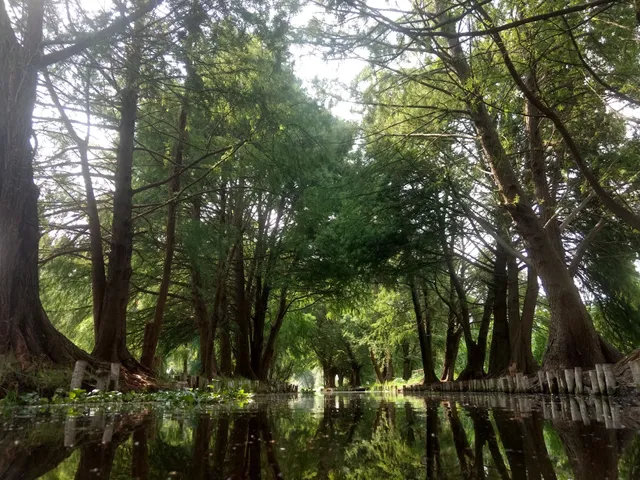 Ecoturístico Toltenco Mágico Park