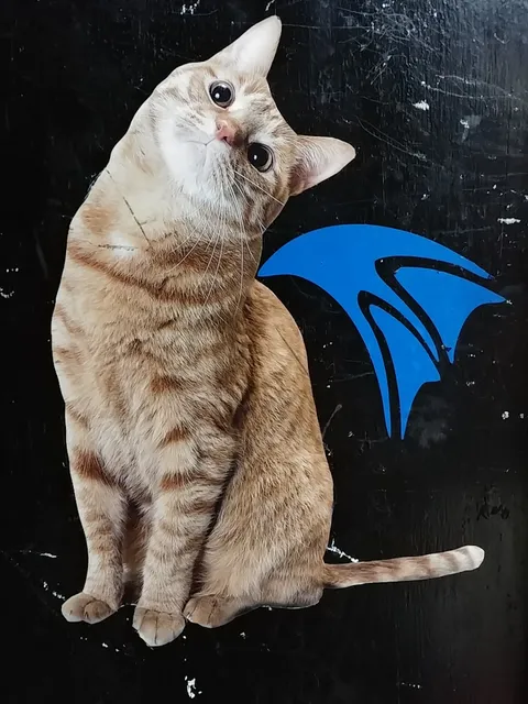 RESTAURANTE AMISTAD CHINA