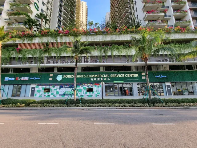 Forest Ants 森林蚂蚁商事服务中心