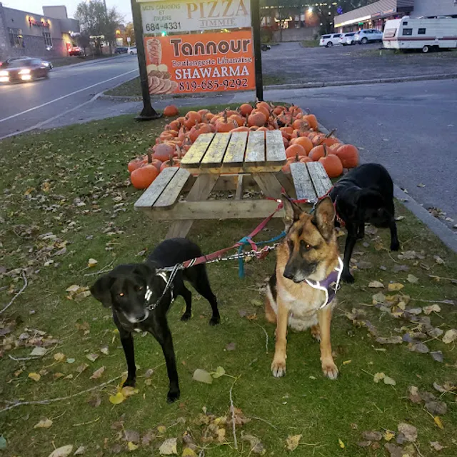 Tannour Shawarma and Bakery