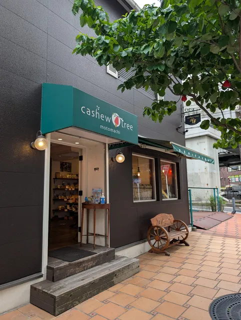cashew tree motomachi