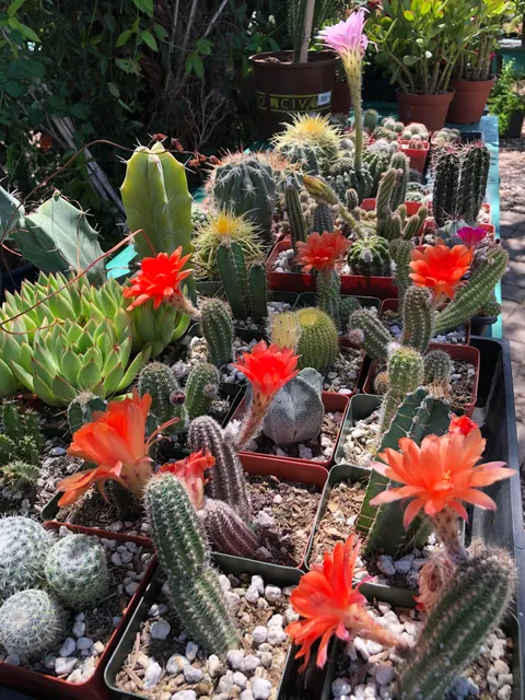 Native Gardens of Green Valley