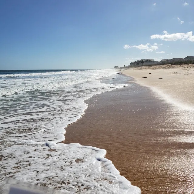 Old Salt Park Dog Friendly