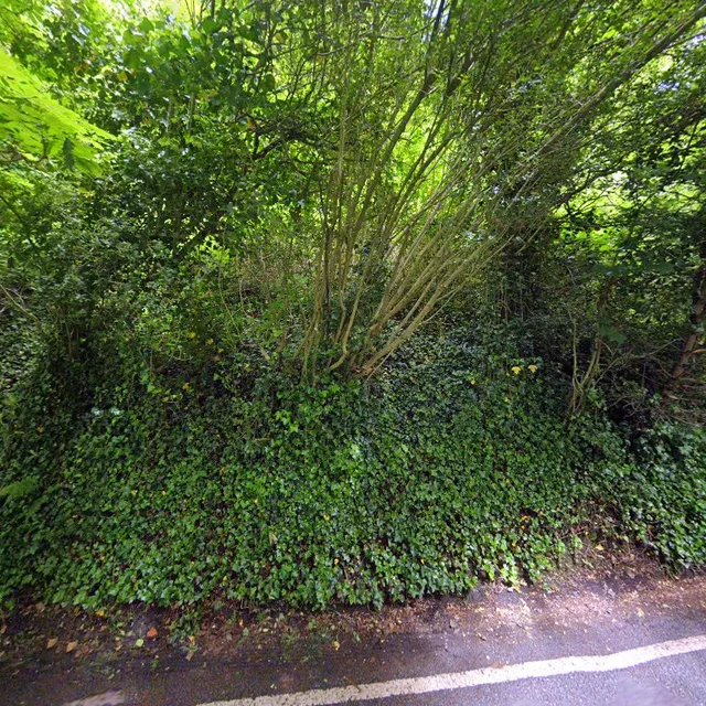 King Student Lettings