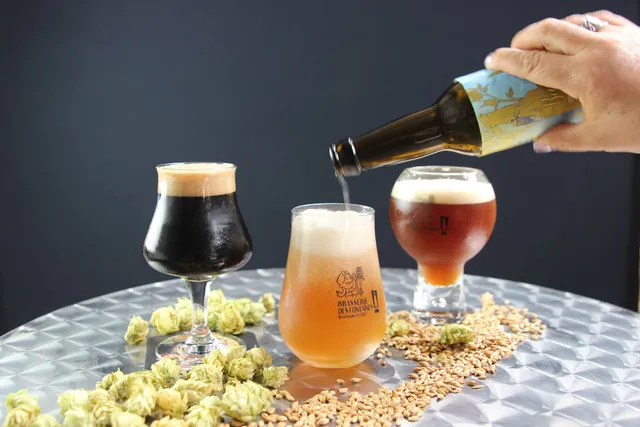 Brasserie des Fontaines