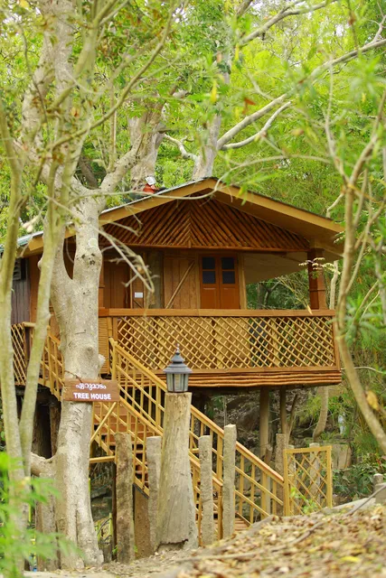 Cure Monastery An Ayurvedic Center and Resort