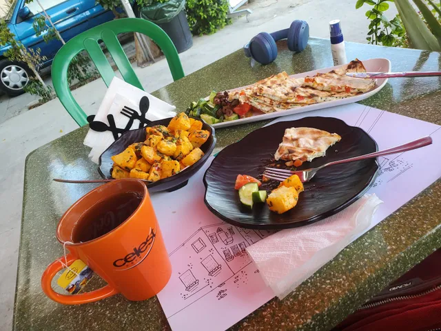 BayRoot • Lebanese Restaurant