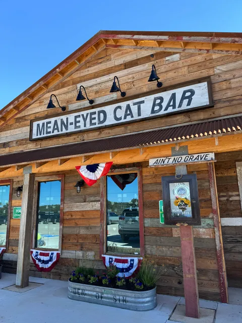 Mean Eyed Cat Driftwood