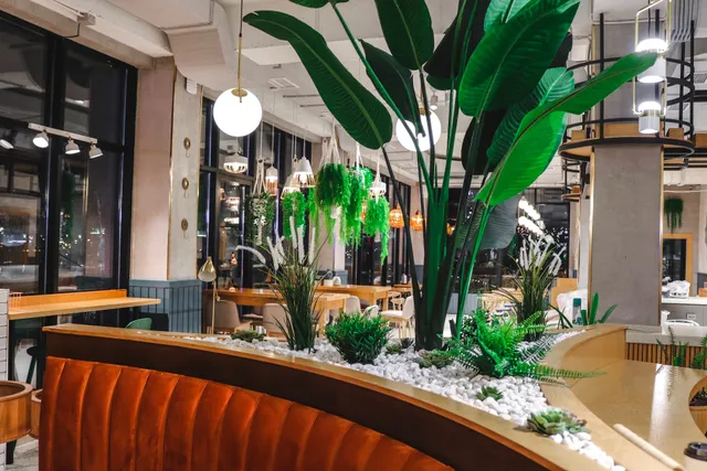 Arrows and Sparrows Cafe UZ