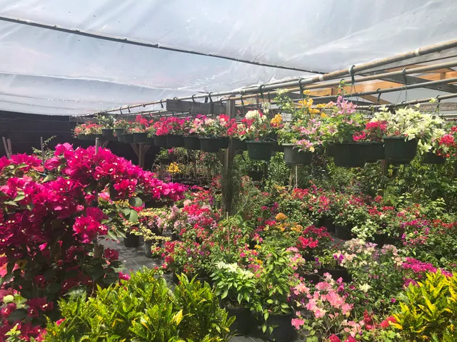 Gonzalez Nursery