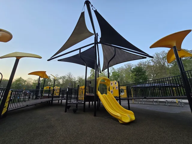 Black & Gold Playground