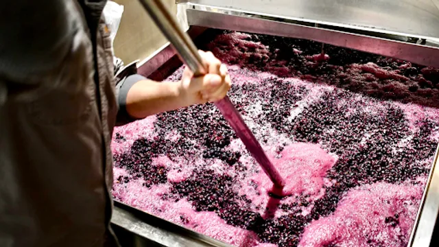 LedgeStone Vineyards & Winery