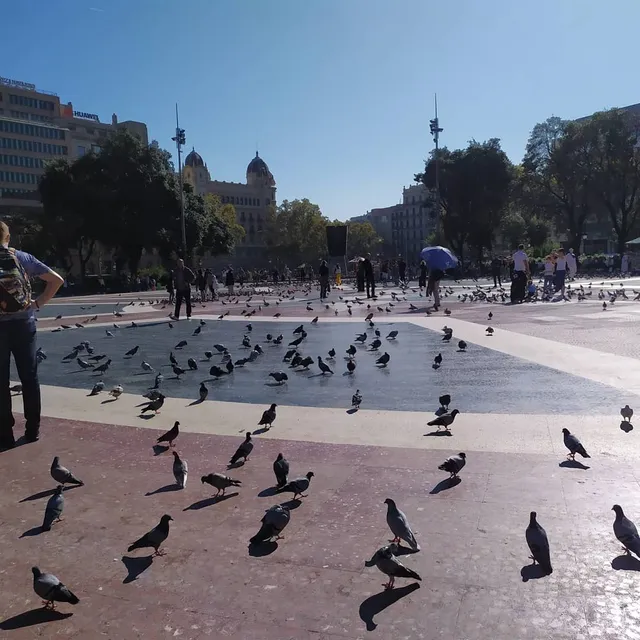 Bailèn - Apartments