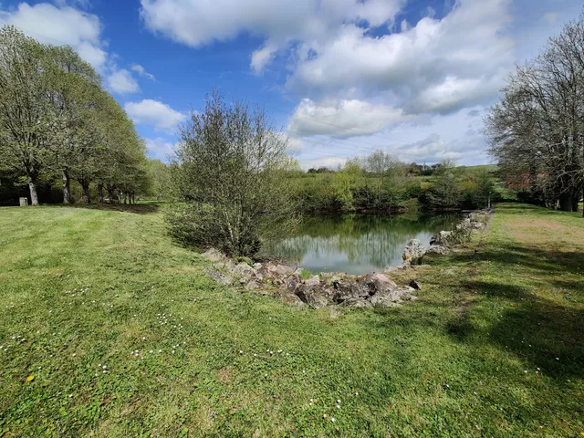 DOMAINE PARK & GRILL