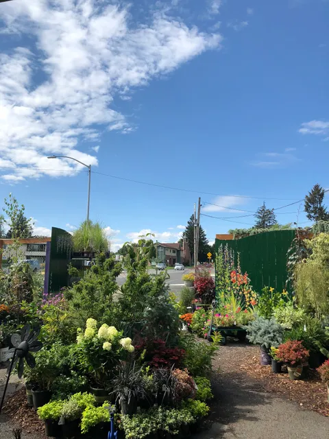 Judy's Enchanted Garden LLC