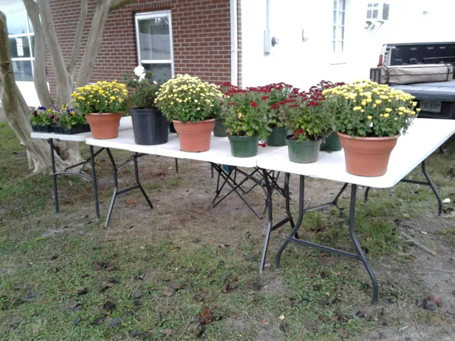 McKenney Farmers Market