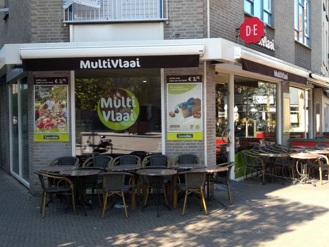 MultiVlaai