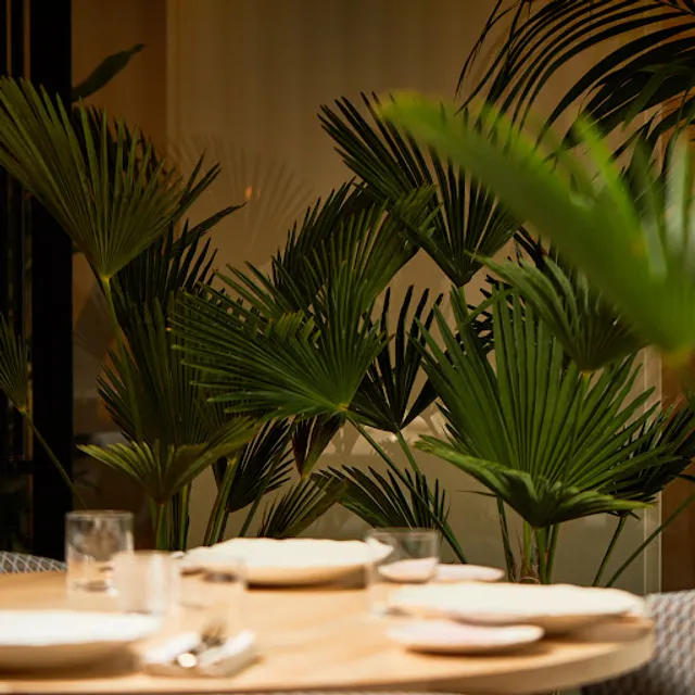 KAIA Contemporary Greek