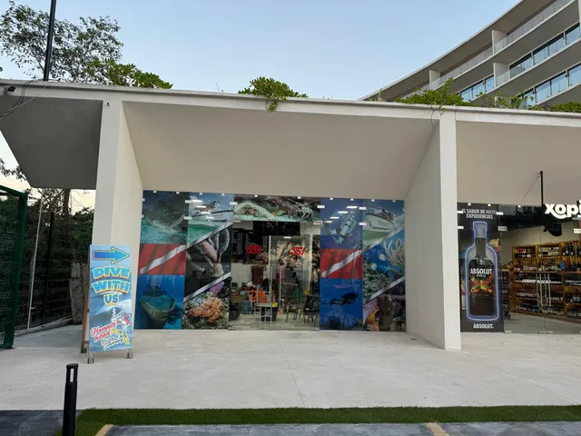 Hammerhead Cozumel Diving & Snorkeling