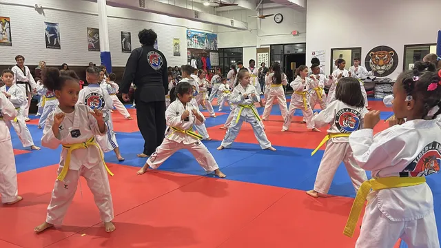 Tiger J Kim's World Class Taekwondo 1