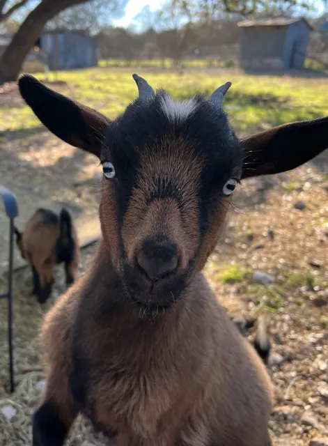 New Berlin Feed & Supply