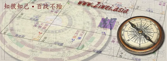 Ziwei Asia International