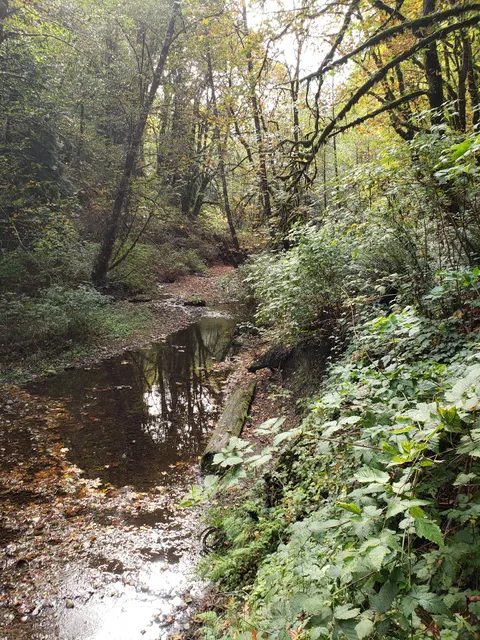 Swan Creek Park Community Garden