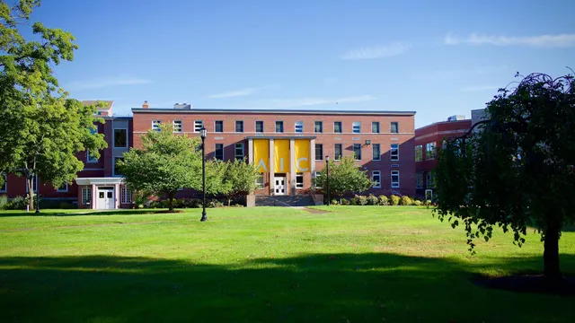 American International College
