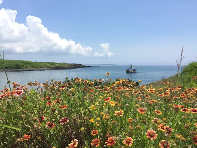 海底漫步 浮潛 SUP 海賊城