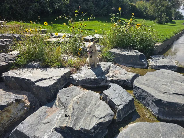 Northwest Greenbelt Off-Leash Dog Park