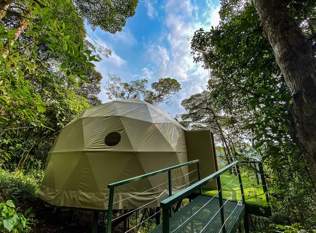 Way to Heaven Glamping