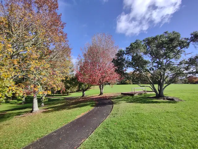 Blockhouse Bay Recreational Reserve